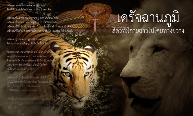 อบายภูมิ ๔ - เดรัจฉานภูมิ