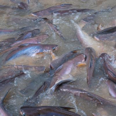 วัดพระลอย สุพรรณบุรี