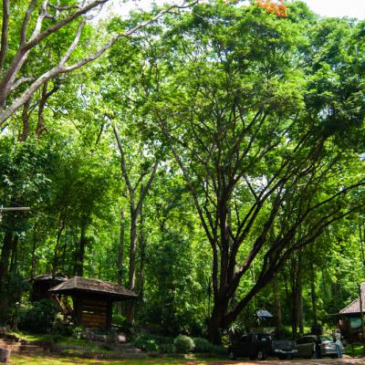 อุทยานแห่งชาติถ้ำผาไท ลำปาง