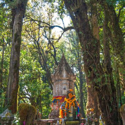 ดอยอินทนนท์ เชียงใหม่