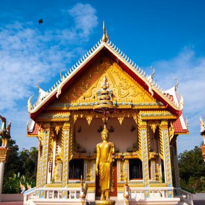 วัดป่าโกรกสะเดา นครราชสีมา